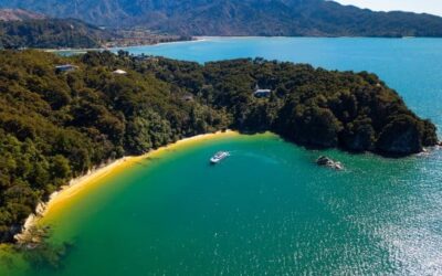 Nelson-เนลสัน